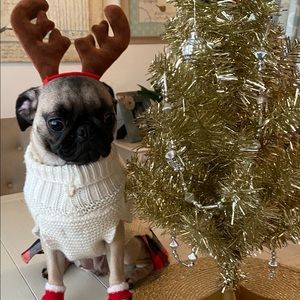 Meet your Posher, Linet